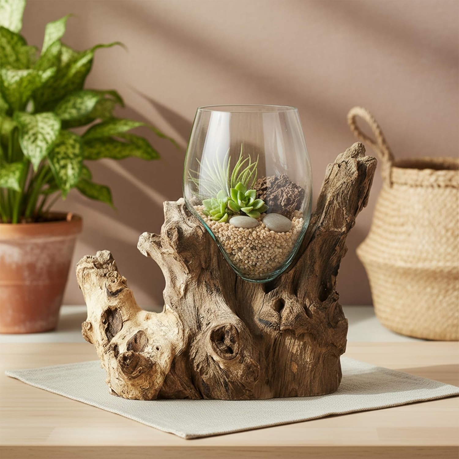 Kaffeestrauchwurzelvasen