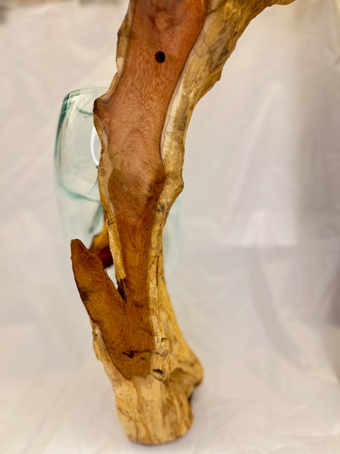 Wurzelvase 50 cm #33 Seitenansicht - Natürliche Holzwurzel mit integrierter Vase | shinypresents.de