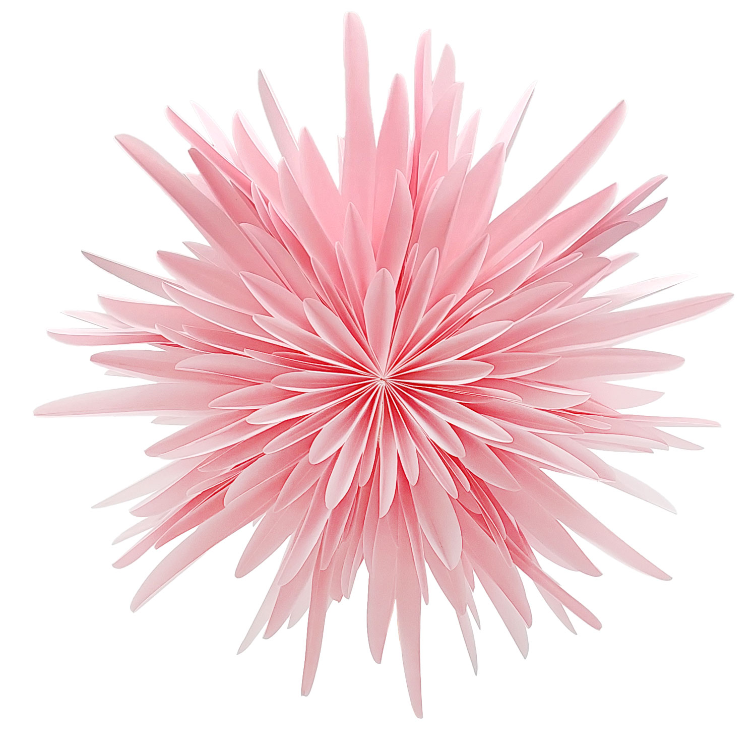 Bild 2: Stella Dalia rosa – Eleganter Lichtstern in Rosa, Detailansicht, shinypresents.de
