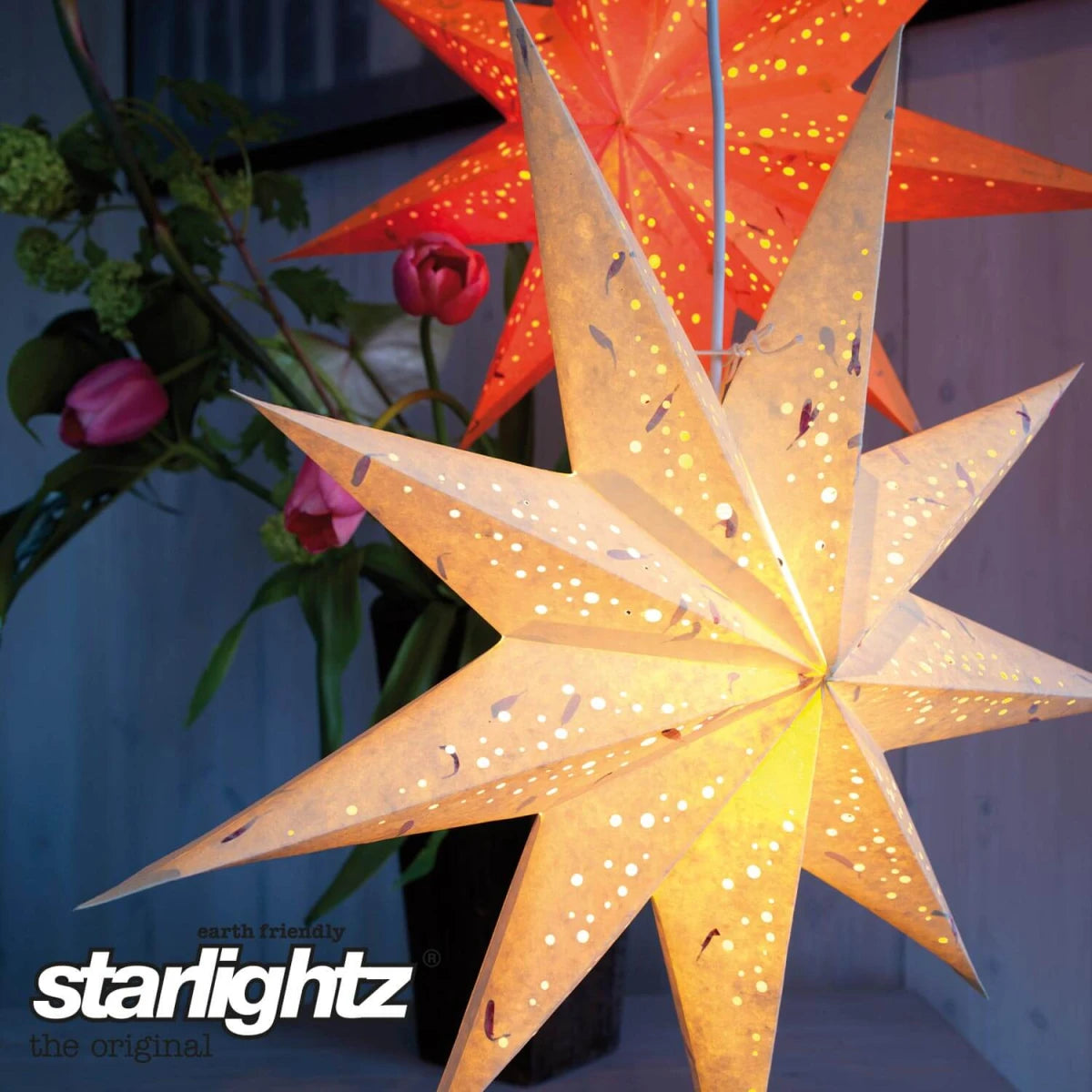 starlightz spumante red Leuchtstern Detailansicht - Stilvolles Design für stimmungsvolle Beleuchtung | shinypresents.de