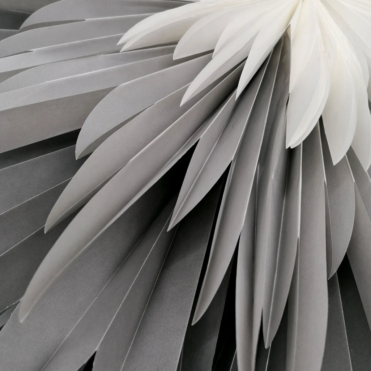 Stella-Dalia Pergamentpapier anthrazit-grau-weiß leuchtend - Stimmungsvolle Beleuchtung mit sanftem, warmem Licht | shinypresents.de