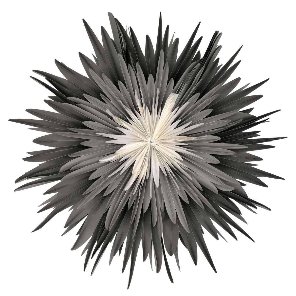 Stella-Dalia Pergamentpapier anthrazit-grau-weiß 60cm - Handgefertigter Papierstern aus zartem Pergament mit floralem Design | shinypresents.de