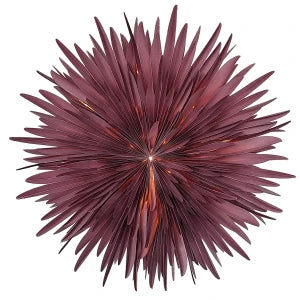 Stella-Dalia Pergamentpapier burgundy leuchtend - Stimmungsvolle Beleuchtung mit sanftem, warmem Licht | shinypresents.de