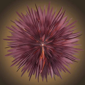 Stella-Dalia Pergamentpapier burgundy 60cm - Handgefertigter Papierstern aus zartem Pergament in Burgundy-Rot mit floralem Design | shinypresents.de