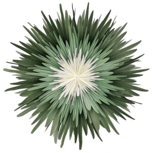 Stella-Dalia Pergamentpapier grün-mint-weiß 60cm - Handgefertigter Papierstern aus zartem Pergament mit floralem Design | shinypresents.de