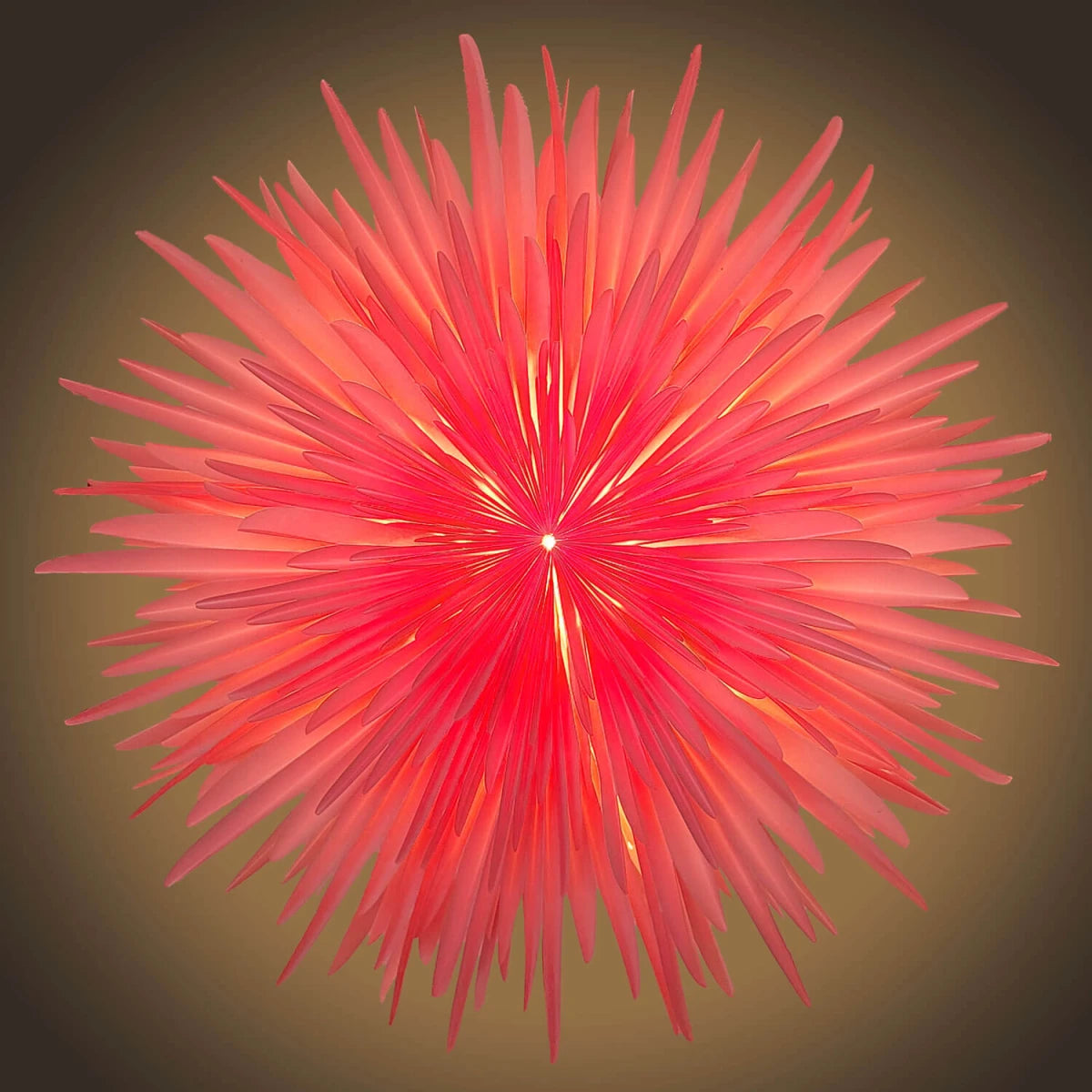 Bild 3: Stella Dalia rosa – Stimmungsvoller Papierstern beleuchtet, 60 cm, shinypresents.de
