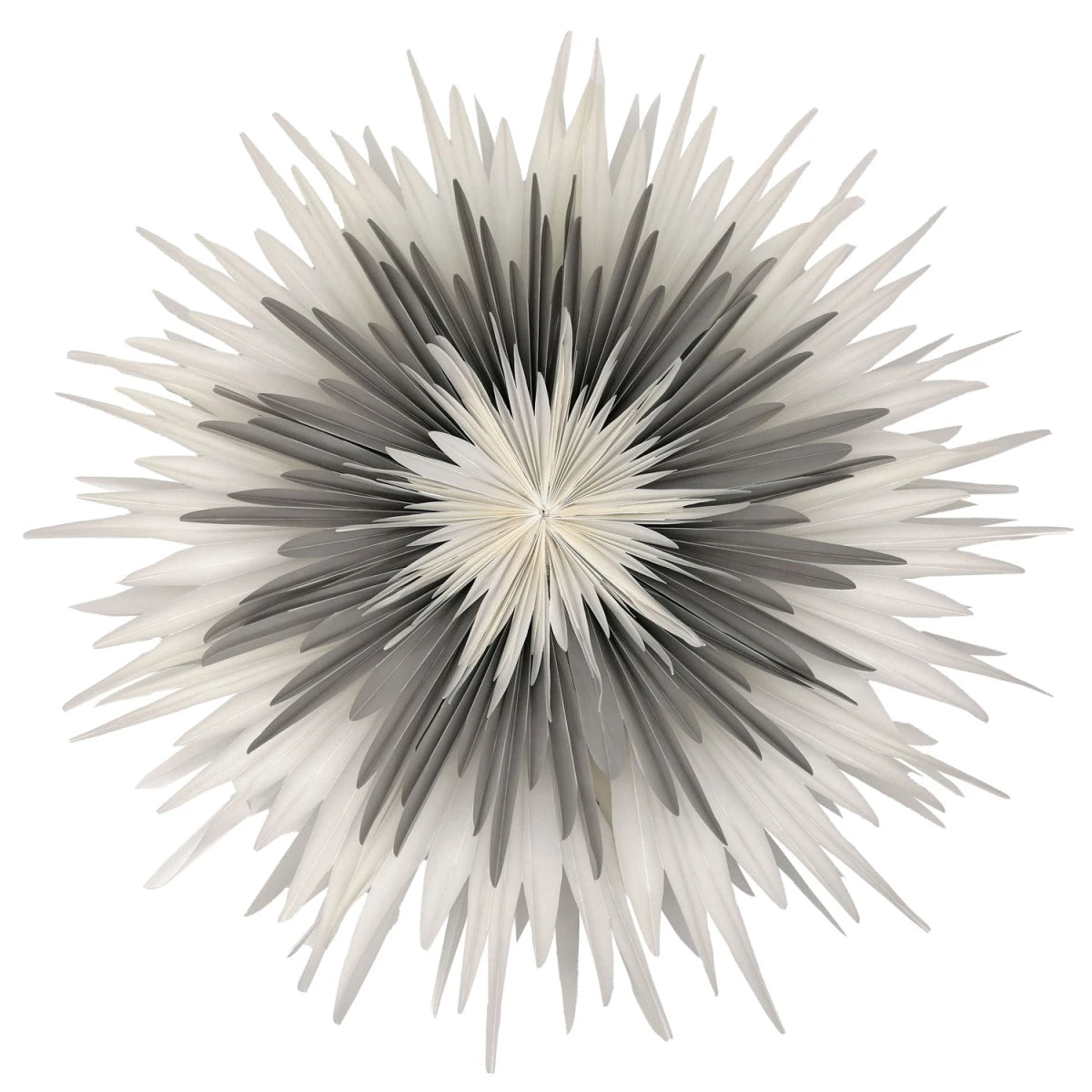 Stella-Dalia Pergamentpapier weiß grau weiß 60cm - Handgefertigter Papierstern aus zartem Pergament mit floralem Design | shinypresents.de